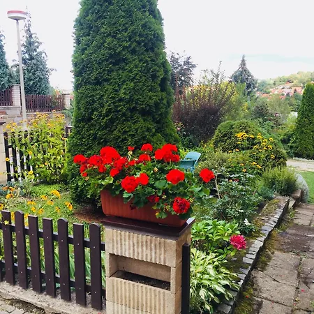 Apartment Cihelna *